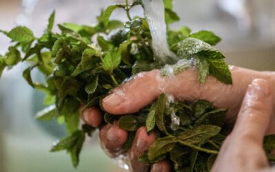 El arte de digerir bien: 3 claves ayurvédicas